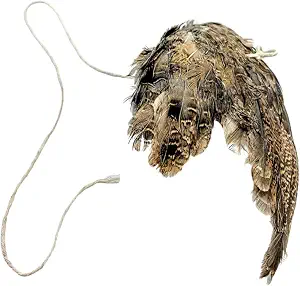 Unique Wing on String Cat Toy - Real Quail Wing Bird Scent Interactive Play for Cats, Dog Training Accessory