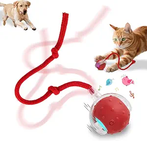 Interactive Cat Toys Smart Ball for Cats & Dogs! Now with 2 Rapid Tails. Features: 360?Auto-Rolling, Motion Activation& Bird Sounds. Perfect for Indoor Pet Exercise & Fun. (Red)