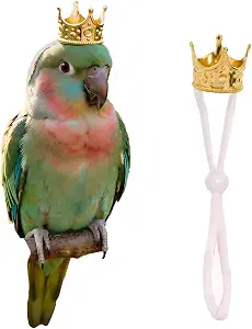 1PCS Crown with Elastic Band for Parrot Dog Cat Rabbit Hamster Pet Photo Prop Birthday Party Festival Costume Accessories(Gold,Elastic)